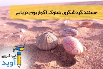 بلبلوک آکواریوم دریایی