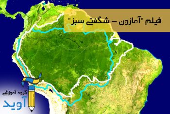 آمازون (شگفتی سبز)