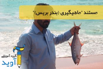 فیلم ماهیگیری (بندر بریس)